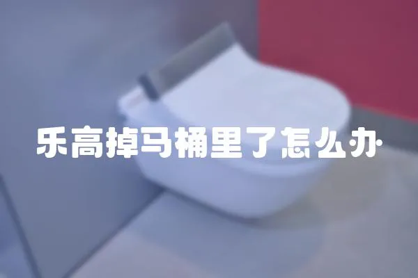 樂高掉馬桶里了怎么辦