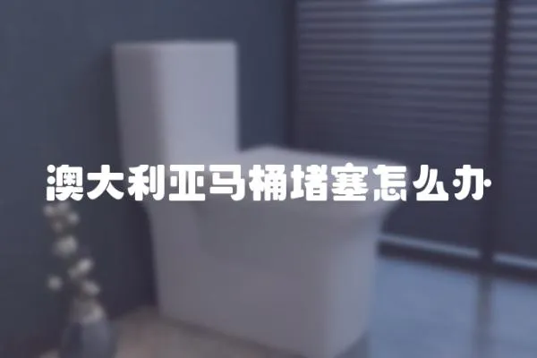澳大利亞馬桶堵塞怎么辦