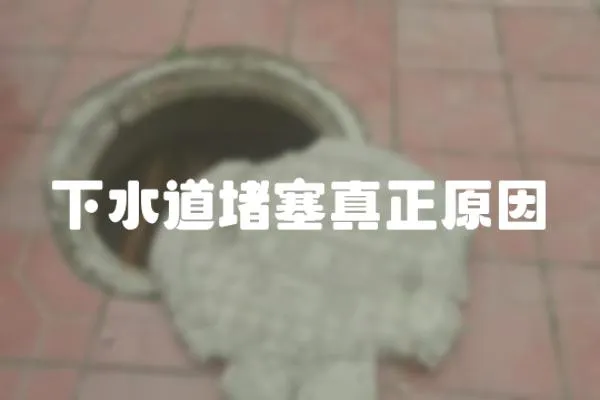 下水道堵塞真正原因