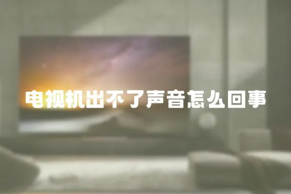 電視機出不了聲音怎么回事