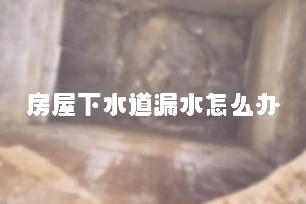 房屋下水道漏水怎么辦