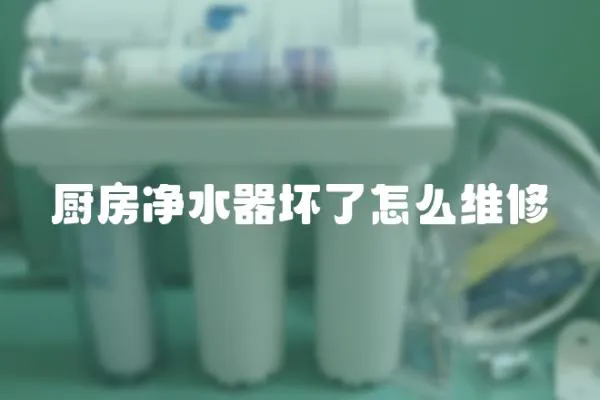 廚房?jī)羲鲏牧嗽趺淳S修