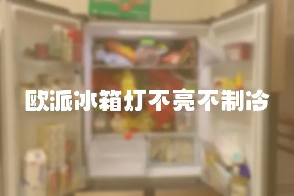 歐派冰箱燈不亮不制冷