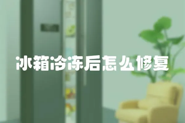 冰箱冷凍后怎么修復(fù)