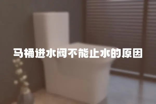 馬桶進水閥不能止水的原因