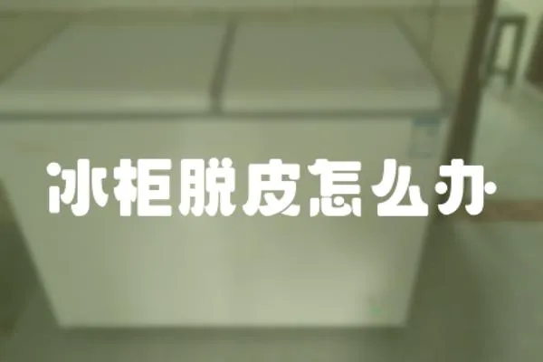冰柜脫皮怎么辦