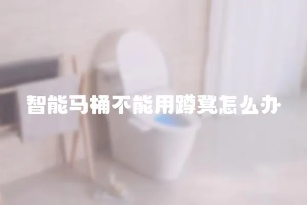 智能馬桶不能用蹲凳怎么辦