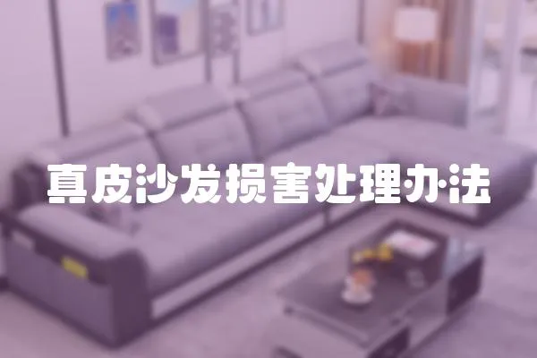 真皮沙發損害處理辦法