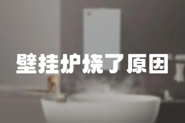 壁掛爐燒了原因