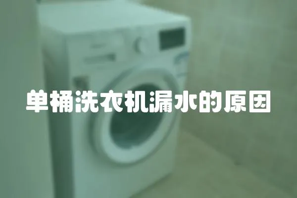 單桶洗衣機漏水的原因