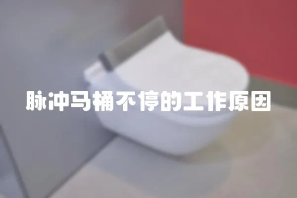 脈沖馬桶不停的工作原因