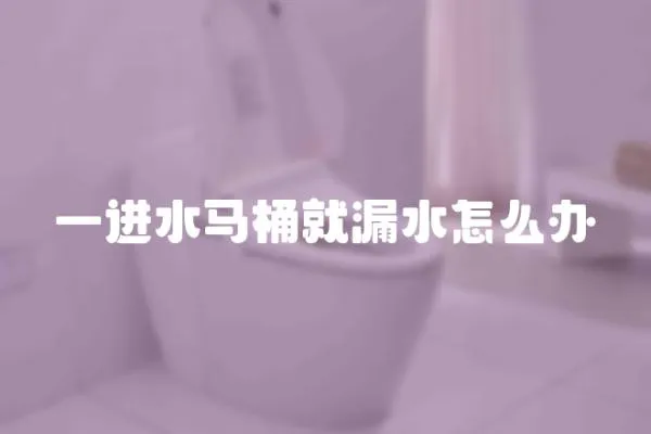 一進(jìn)水馬桶就漏水怎么辦