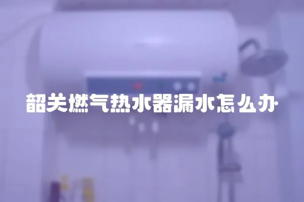 韶關燃氣熱水器漏水怎么辦