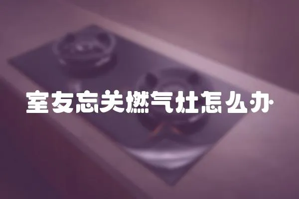 室友忘關燃氣灶怎么辦
