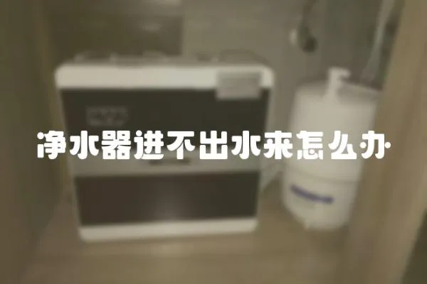 凈水器進不出水來怎么辦
