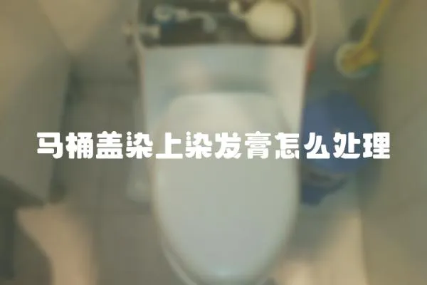 馬桶蓋染上染發(fā)膏怎么處理