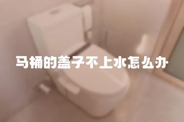 馬桶的蓋子不上水怎么辦