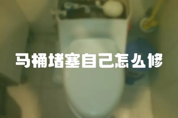 馬桶堵塞自己怎么修