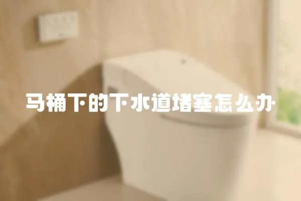 馬桶下的下水道堵塞怎么辦