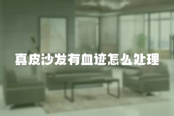 真皮沙發有血跡怎么處理