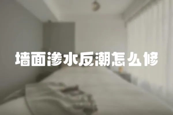 墻面滲水反潮怎么修