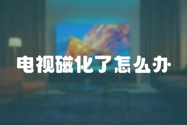 電視磁化了怎么辦