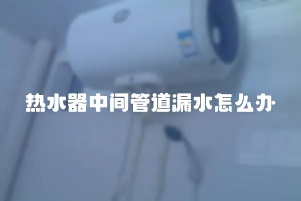 熱水器中間管道漏水怎么辦