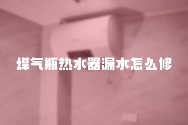 煤氣瓶熱水器漏水怎么修
