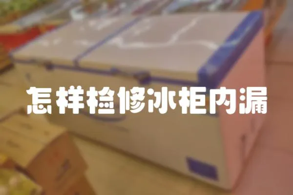 怎樣檢修冰柜內漏