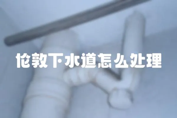 倫敦下水道怎么處理