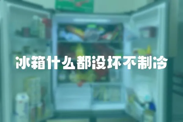 冰箱什么都沒壞不制冷