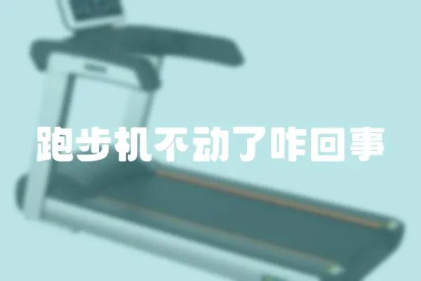 跑步機不動了咋回事