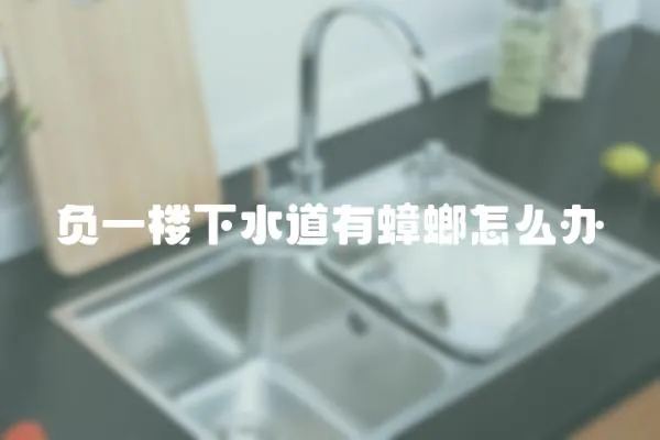 負(fù)一樓下水道有蟑螂怎么辦