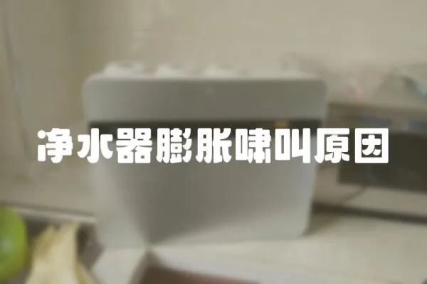 凈水器膨脹嘯叫原因
