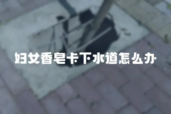 婦女香皂卡下水道怎么辦