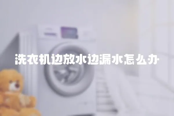 洗衣機邊放水邊漏水怎么辦