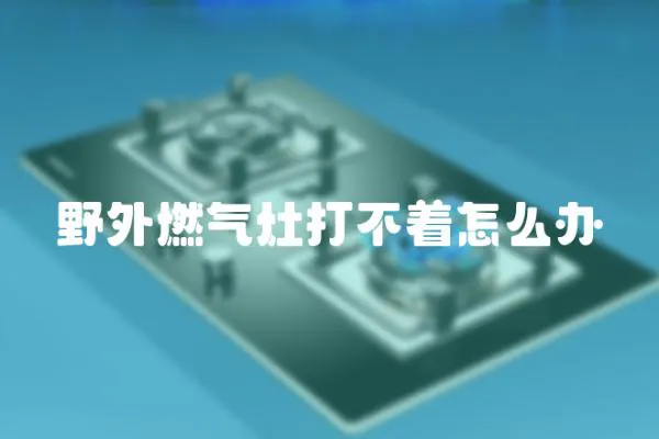 野外燃?xì)庠畲虿恢趺崔k