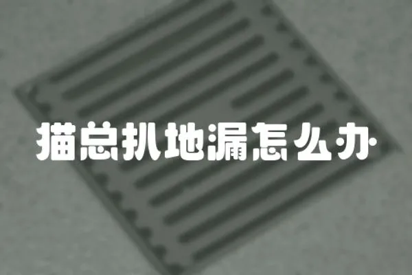 貓總扒地漏怎么辦