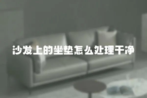 沙發上的坐墊怎么處理干凈