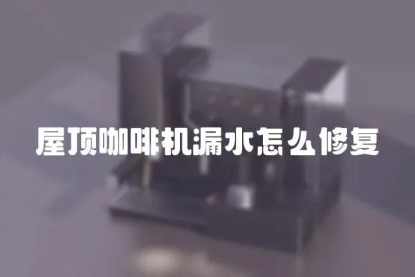 屋頂咖啡機漏水怎么修復