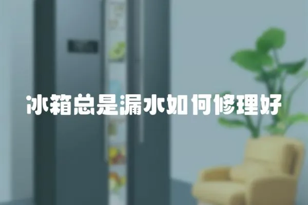 冰箱總是漏水如何修理好