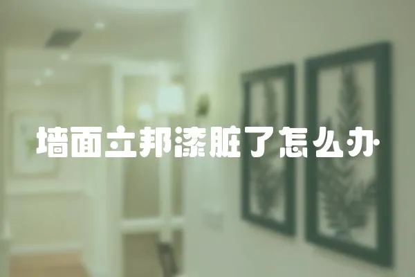 墻面立邦漆臟了怎么辦