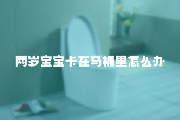 兩歲寶寶卡在馬桶里怎么辦