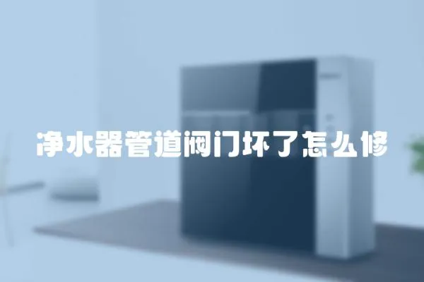 凈水器管道閥門壞了怎么修