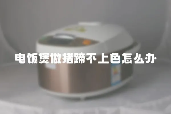 電飯煲做豬蹄不上色怎么辦