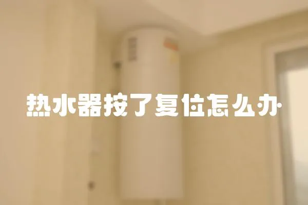 熱水器按了復位怎么辦