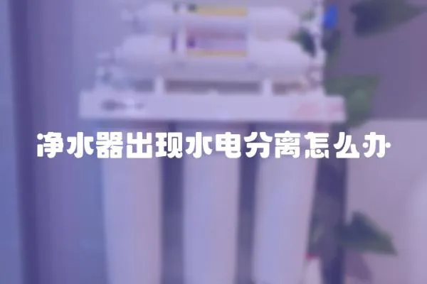 凈水器出現(xiàn)水電分離怎么辦
