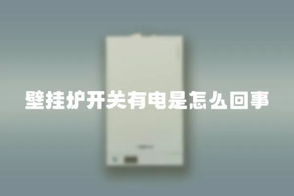 壁掛爐開關(guān)有電是怎么回事