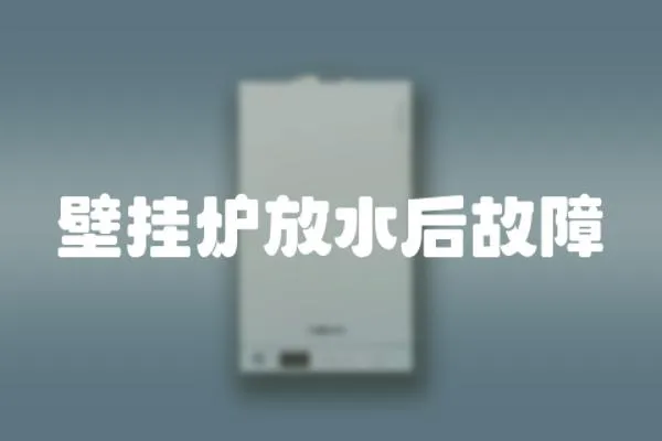壁掛爐放水后故障