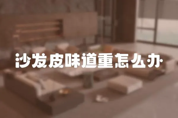 沙發皮味道重怎么辦